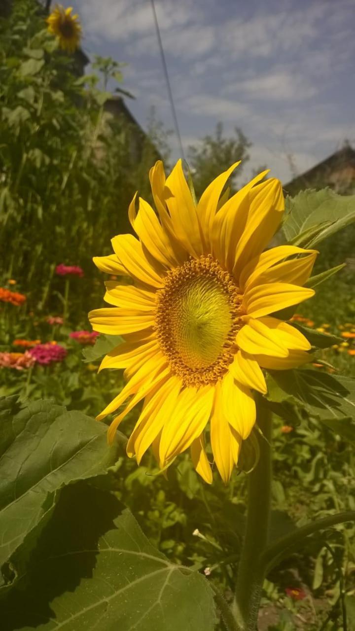 Ojakh Dilijan Exterior foto