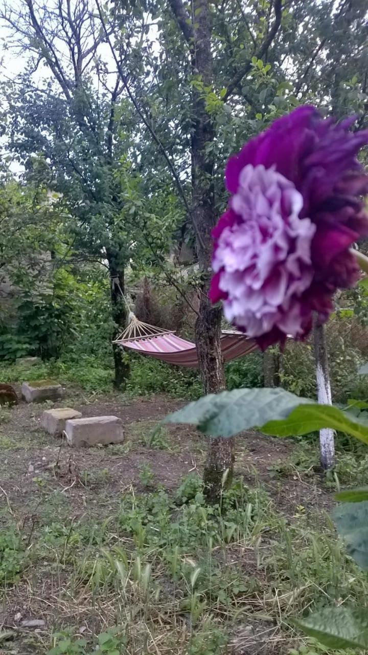 Ojakh Dilijan Exterior foto